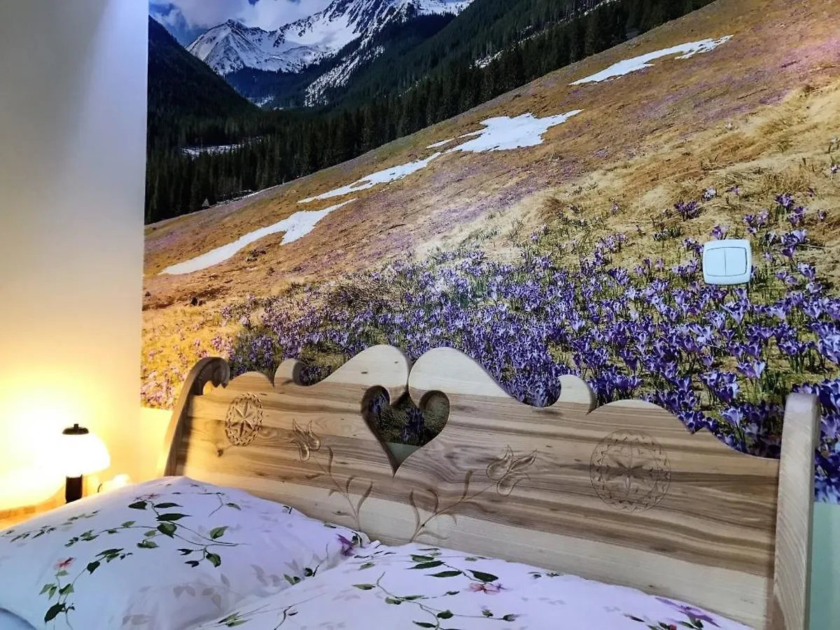 Chatka U Hazy - Regionalne Pokoje Zakopane Poronin 3*,